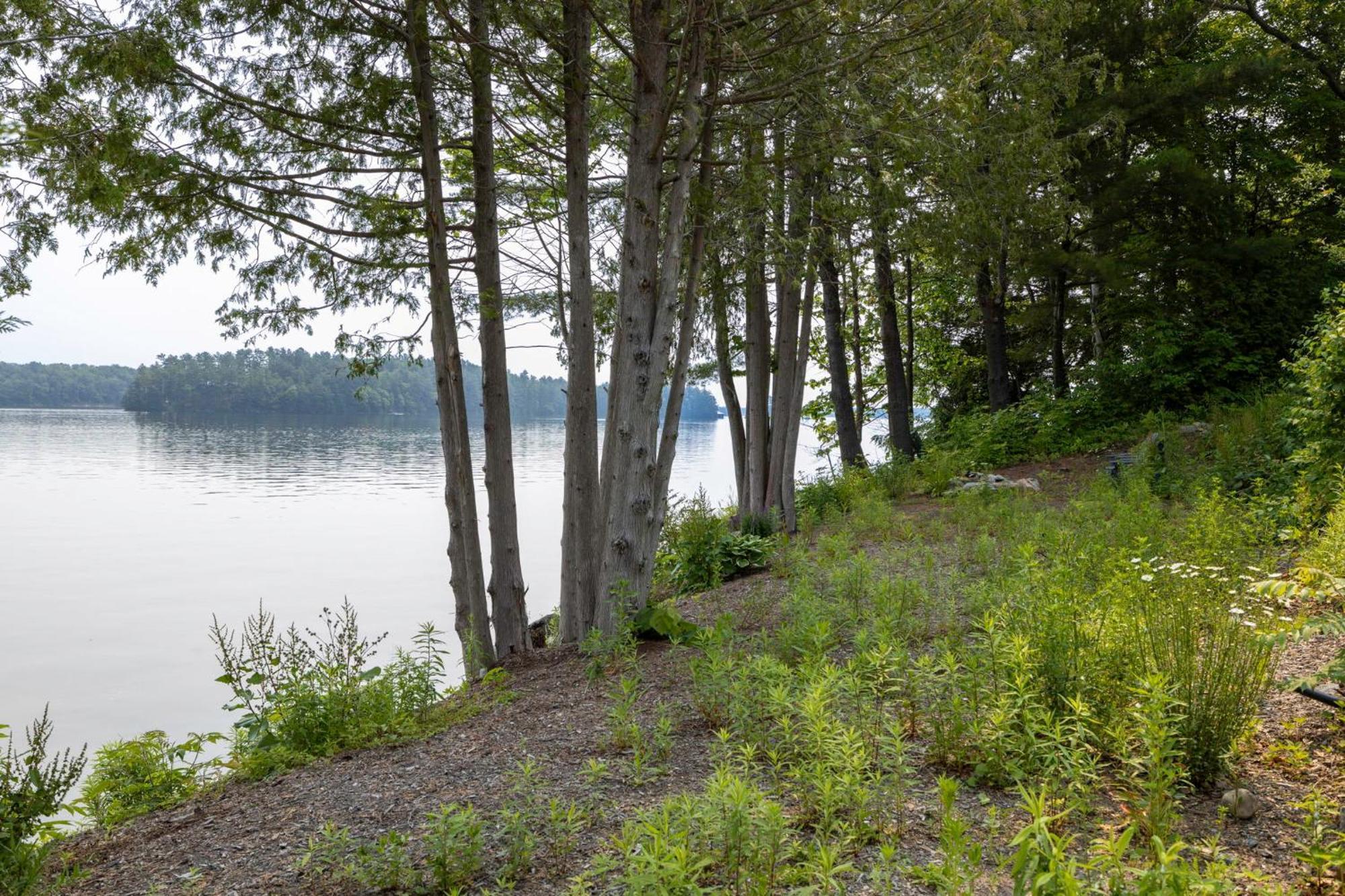 Tranquil Shores Mactier Экстерьер фото
